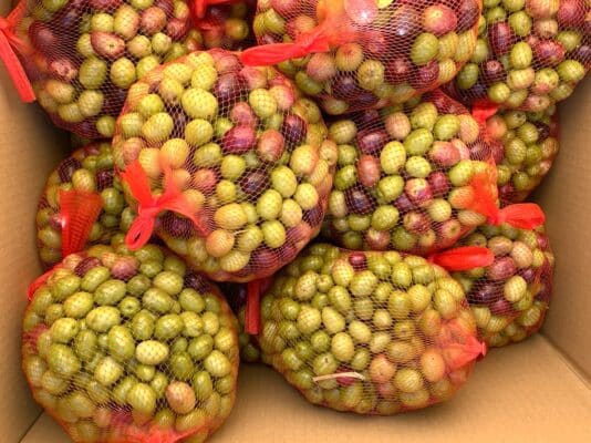 3392edcb40a3a980d2336e7fc9a5ccc9