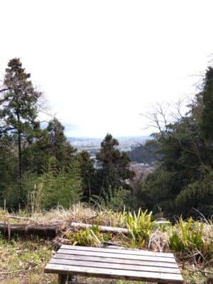 IMG 2024 03 29 13 28 07 221 1