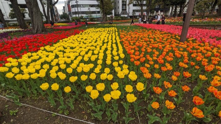 PXL 20240408 033615582