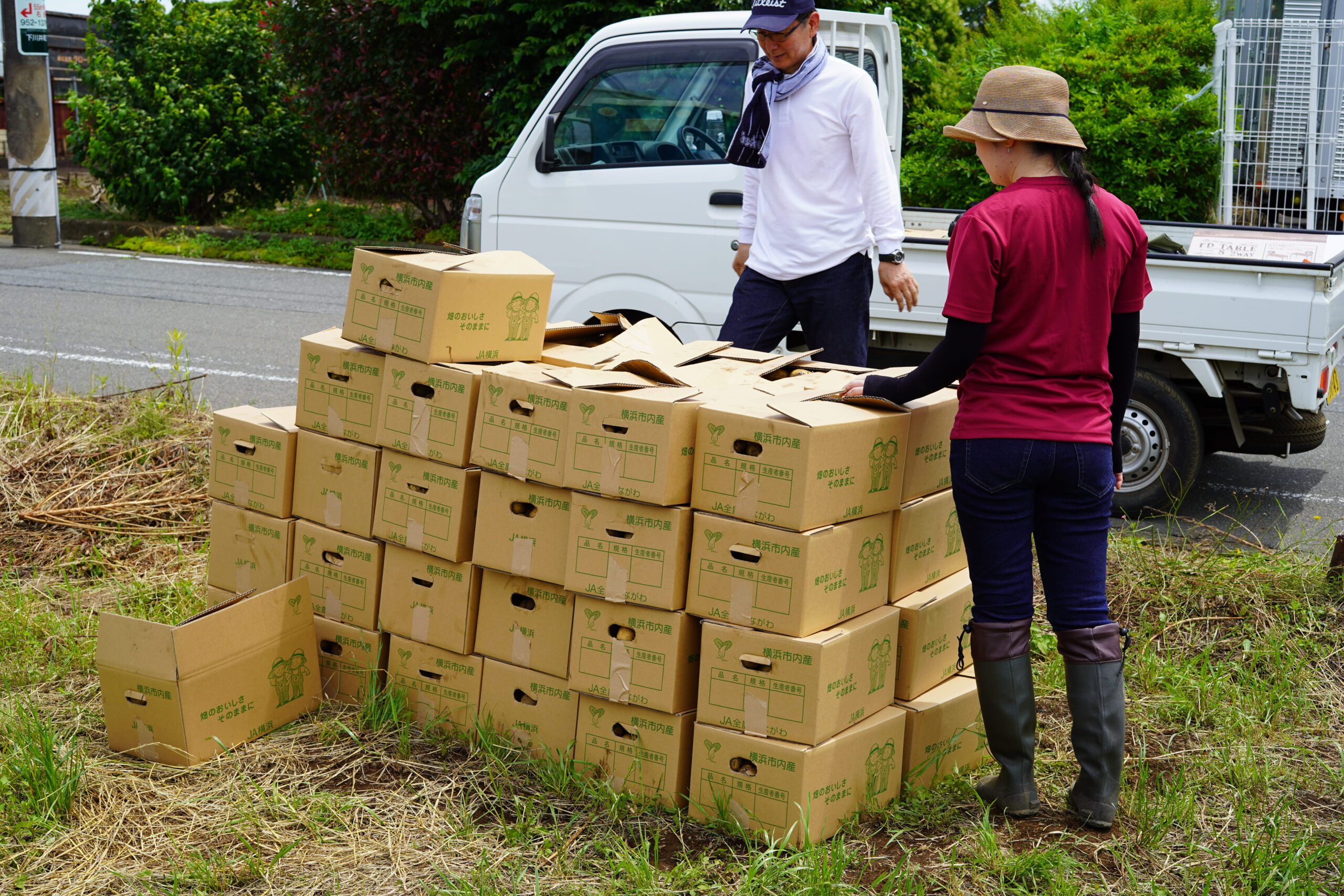 【フジシロ】ジャガイモ研究所　おまとめ品 長崎県産馬鈴薯(ジャガイモ)の定番品種が入荷しました！│土と親しむ