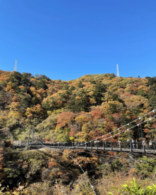 7966bae78213db11914ad7af893f8431