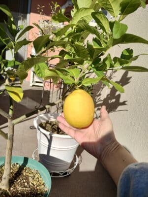 IMG 20241130 095618966 HDR