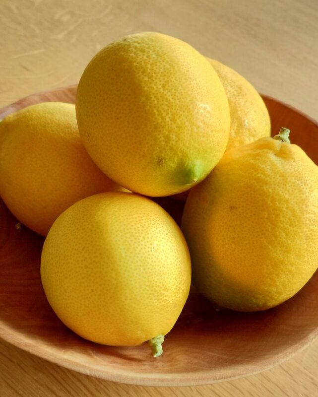 IMG 20251206 105523111 HDR scaled e1766741091533